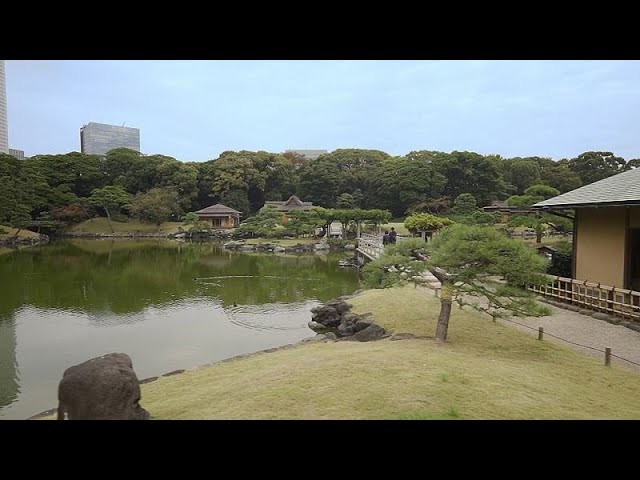 Умный город: Токио: зеленая столица продолжает озеленение - видео