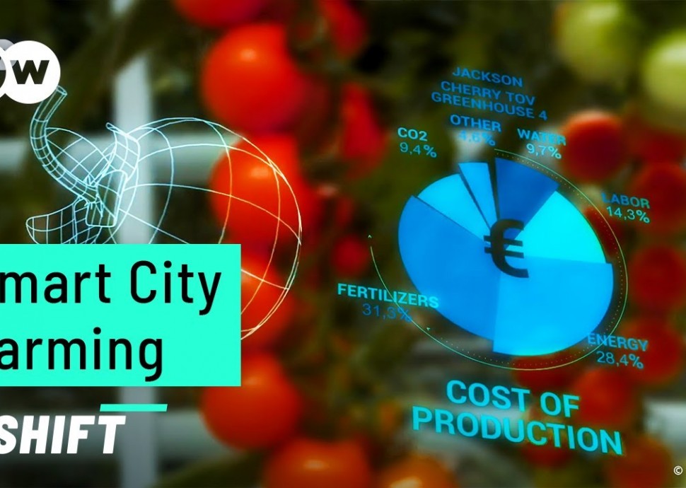 Умный город: Smart City: How Can We Feed 10 Billion People? | Future Smart City Projects | Urban Far
