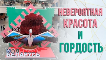 Умный город: Гордость за страну! | Выставка «Моя Беларусь» в новом выставочном центре «Белэкспо» - в