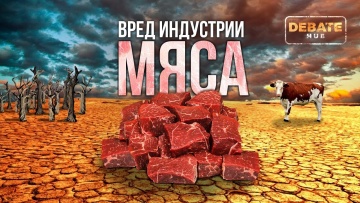 Умный город: Вред индустрии мяса для экологии - видео